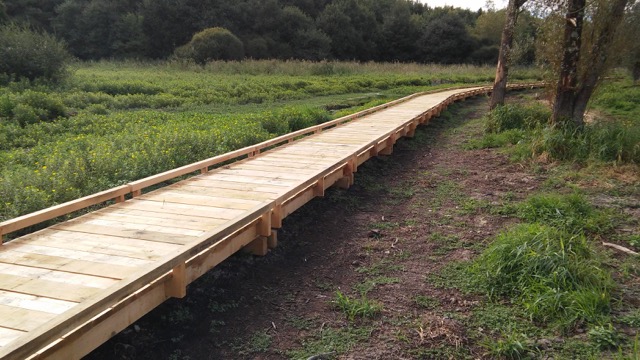 Passerelle piétonne en chêne