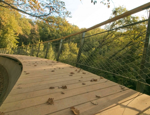 Réalisation d’une Passerelle piétonne en robinier