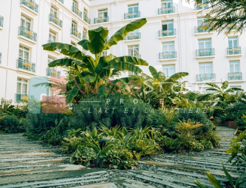 Réfection de L’Oasis de l’hôtel Martinez