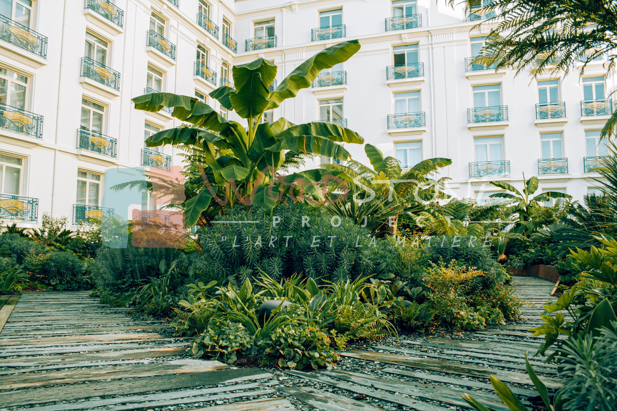 Oasis de l'hôtel Martinez Cannes