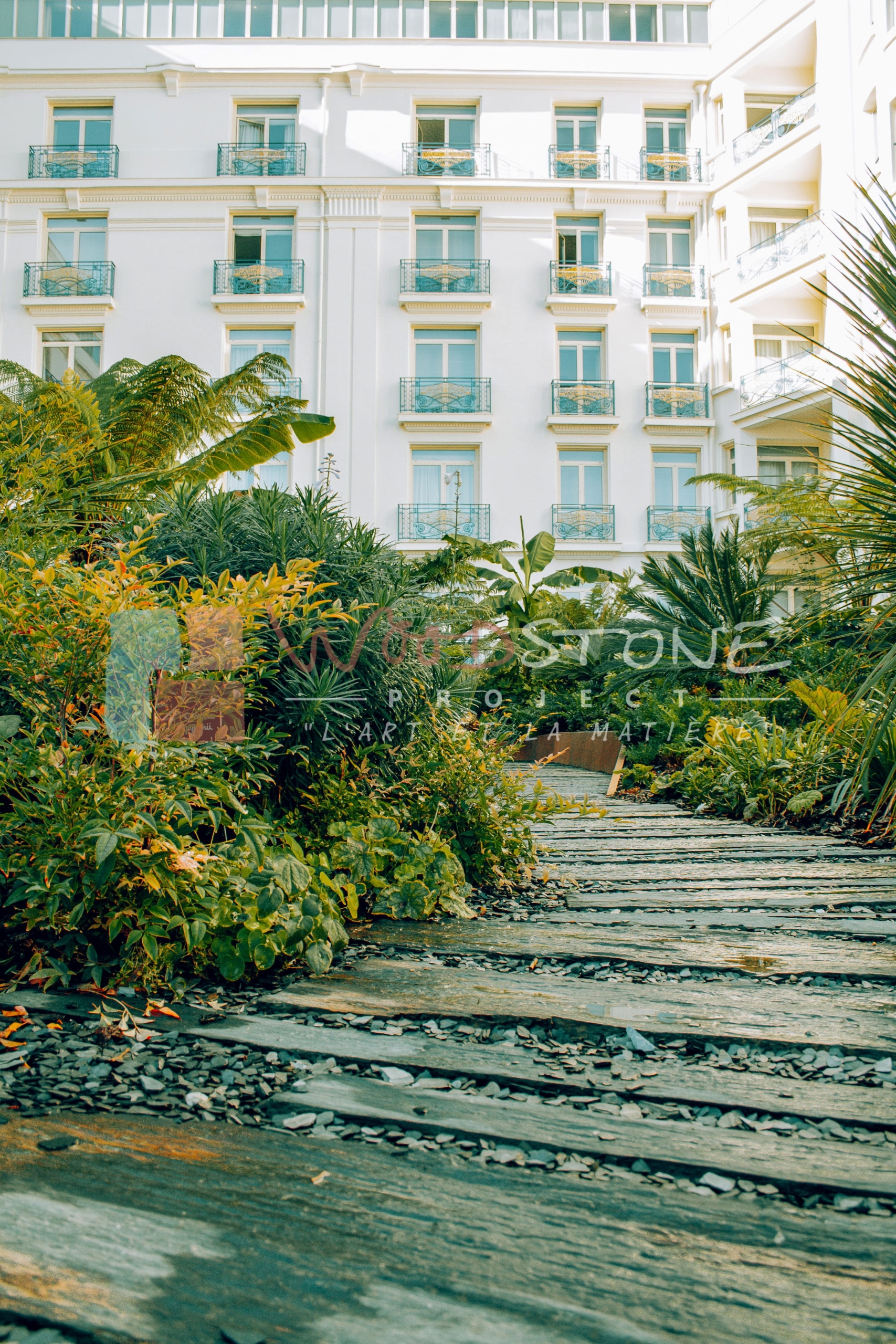 Oasis de l'hôtel Martinez Cannes