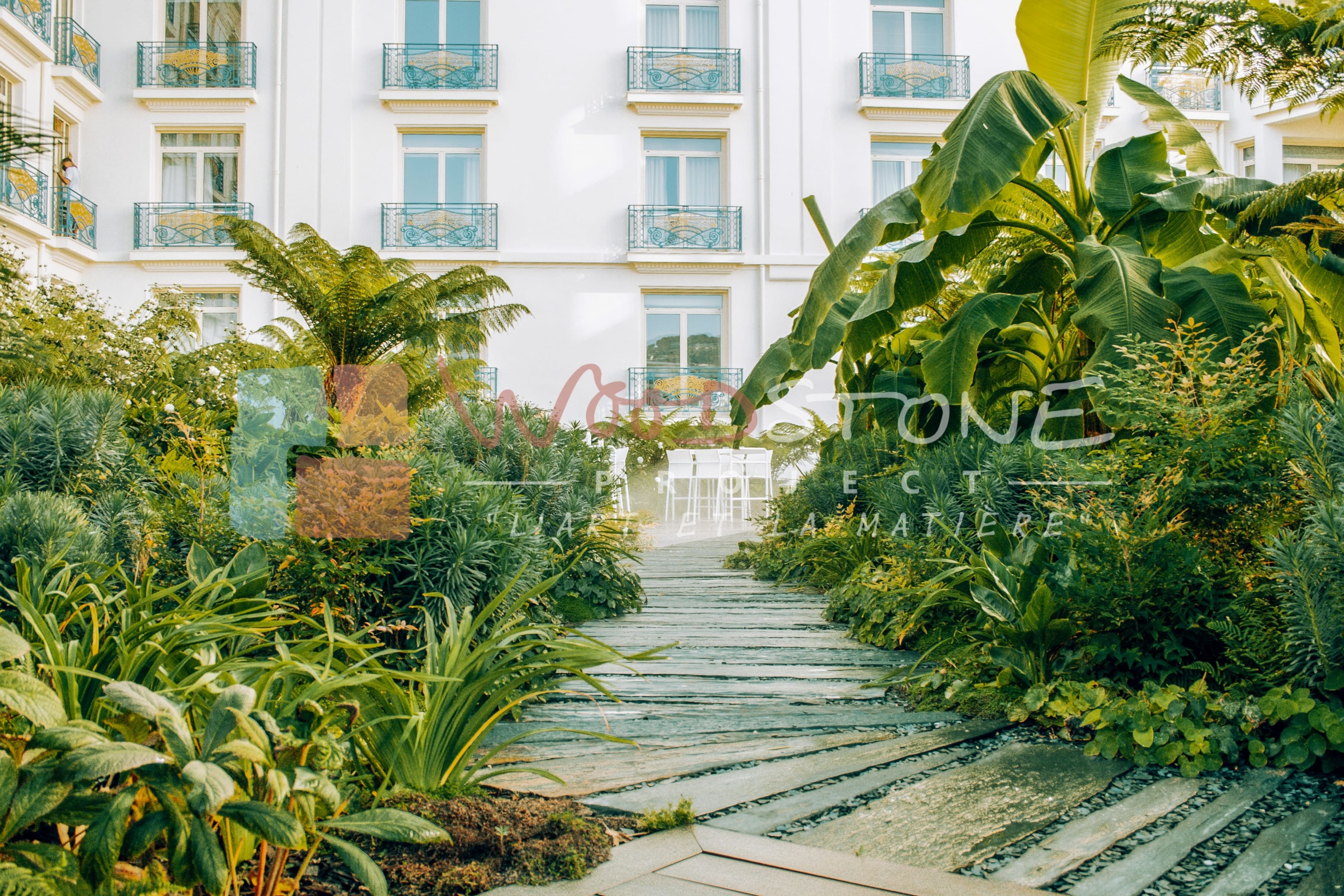 Oasis de l'hôtel Martinez Cannes