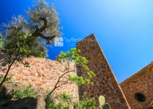 pierre a maconner type esterel